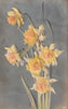 FLOWERS DAFFODILS BAS RELIEF POSTCARD