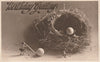 BIRTHDAY GREETINGS UNUSUAL COMIC CHARACTERS EGGS IN BIRDS NEST PHOTOGRAVURE POSTCARD