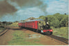NZ LOCOMOTIVE "Meg Merrilies" "F" CLASS No. 180 23 October 1965 Auckland