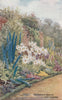 GB LONDON KEW GARDENS DELPHINIUM FLOWERS BORDER POSTCARD